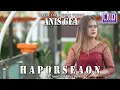 Lagu Anis Gea - Haporseaon (Lagu Batak Terbaru 2022) Official Music Video