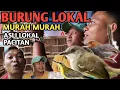 Download Lagu Ngombyok burung ke SUKOHARJO, dan kita sepil berapa saja harga burung kecil lokal pacitan ini?