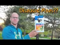 How to Save Your Diseased Pine Trees