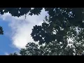 Bittersweet - Nippa Reverb n Slowed