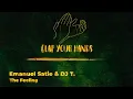 Emanuel Satie & DJ T. - The Feeling