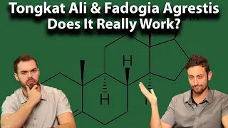 Tongkat Ali Fadogia Agrestis The Gillett Health Podcast