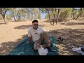 Esmail, without shelter, deep in the mountains; his kind uncle is searching for him!