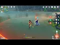Genshin Impact Dehya Skill co-ordinated attack doesnt attack shielded