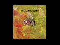 Download Lagu BALADESERT - Insecta [FULL ALBUM] 2025