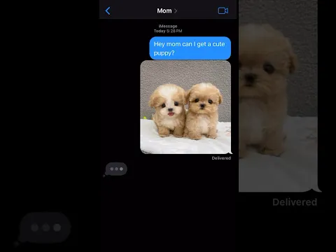 WHICH CUTE PUPPY? #shorts