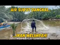 Lagu LUAR BIASA! Air surut jadi berkah, sekali tebar jala isinya tak masuk akal! #jalaikan #menjala 