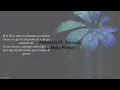Aventura El Malo (Remix Ft. Sensato) Letra