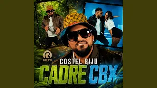 Costel Biju - Cadre - Descarcă MP3