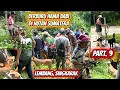 hunting pig pests in the forests of Sumatra.🏆🏆🏆PART.9. Berburu hama babi di hutan Sumatera 