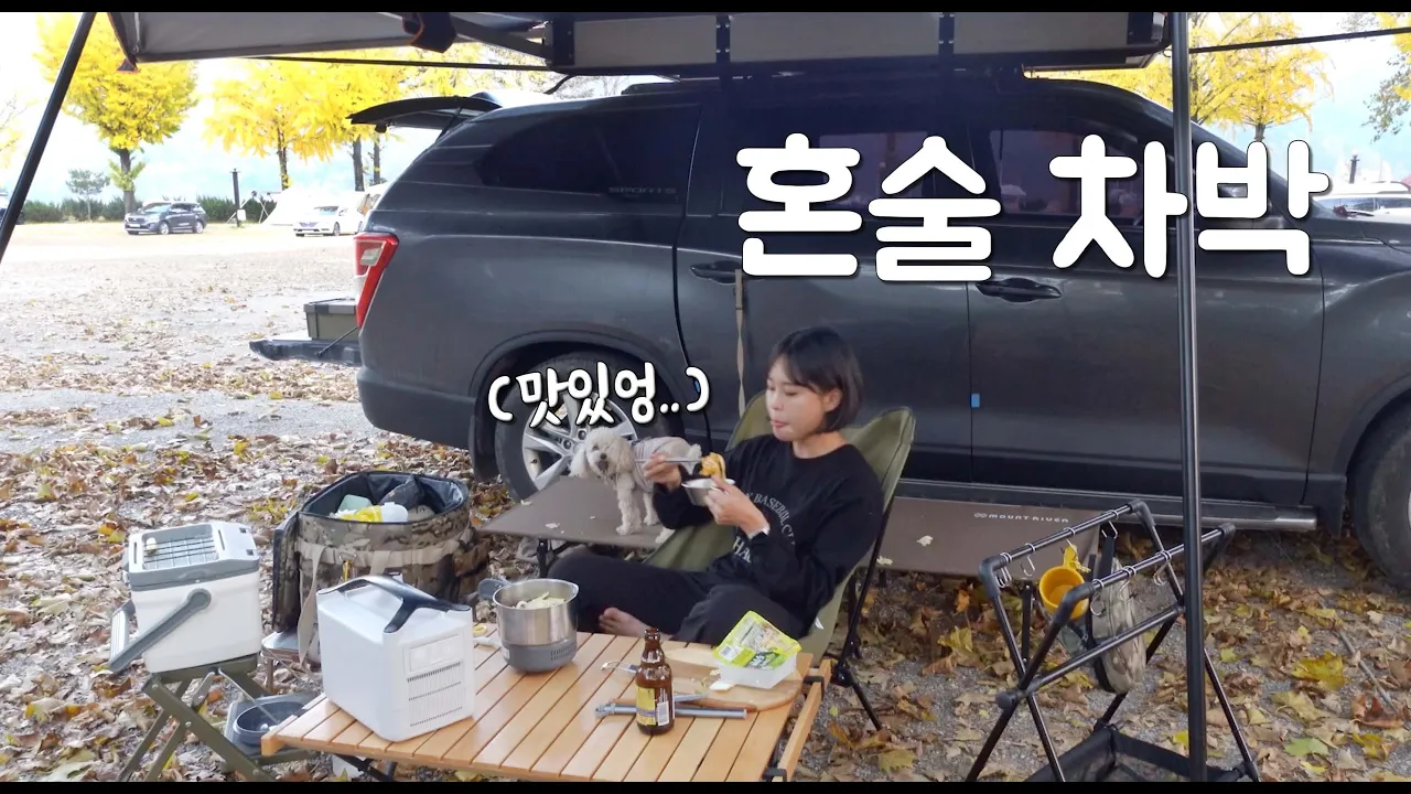 [솔로캠핑]은행나무 가득한 캠핑장에서 마라탕에 혼술..🍁ㅣ가을 차박 캠핑ㅣ애견동반 문경 잉카마야 캠핑장ㅣ에코플로우 리버맥스플러스 썸네일