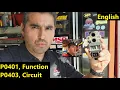 Check Engine Light ON EGR system DTCs P0401 and P0403