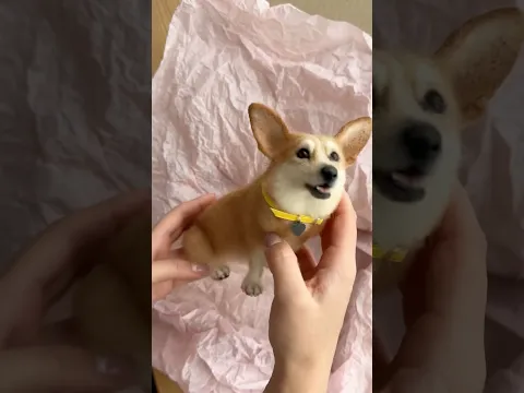 Миниатюра из ШЕРСТИ КОРГИ 😍🐾 #валяние #собака #корги