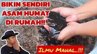 Cukup 5 Menit‼️ Bikin Asam Humat Sendiri di Rumah