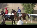Download Lagu Races - Abu Dhabi (13 Nov 2016)