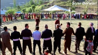 Şiyar Berwari Govend Halay 2019 HD Orginal Ses Kayıtlı 