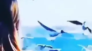 وبنحبك يادنيا بجد 