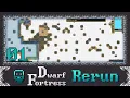 Dwarf Fortress - Waterlungs 01 Wilds