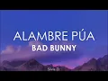 Bad Bunny - Alambre Púa (Letra)