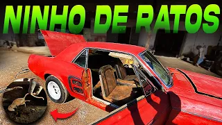LIMPEZA EXTREMA DETALHADA Carro ABANDONADO! Carro parado a muito tempo 35 ANOS - EP3 MUSTANG V8 67