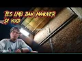 Download Lagu 🇮🇩 Tes LMB dan daya manuver burung di void bangunan 4x8