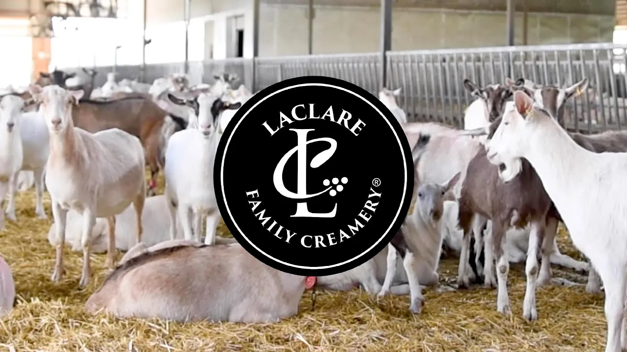 Outline Video LaClare Creamery | Artisan Goat Milk Creamery