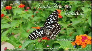 Download Rasoolan Ameena - Arabic Song with Lyrics | Trending Status | Islamic Song | HD |Arabic| Ramzan #01 MP3