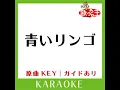 青いリンゴ (カラオケ) (原曲歌手:野口五郎)