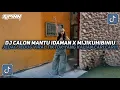 Download Lagu DJ CALON MANTU X MIJIKUHIBINIU X KASIH ABA ABA STYLE BFUNK JEDAG JEDUG VIRAL TIKTOK TERBARU 2025!!