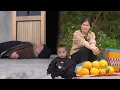 Lagu Huong harvests grapefruit to sell for a living - What happened to Jon? Lý Tử Hường