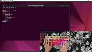 ASMR Programming - Turtle Drawing Stars with Python Programming