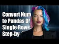 Convert Numpy Array to Pandas DataFrame as Single Row Step-by-Step Guide