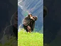 Download Lagu mujhe agar puri duniya bhi chhod jaaye#trending #love #shorts 💯💯💯