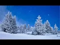 Beautiful Relaxing Music, Peaceful Soothing Instrumental Music, \