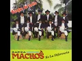 Sangre de indio
