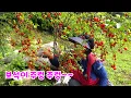 Download Lagu 보석이 주렁주렁~반짝반짝 빛나는 보석같은 일상!