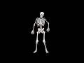 dancing skeleton meme but in
