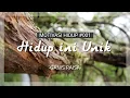 Download Lagu HIDUP INI UNIK | Quotes Motivasi Hidup #001
