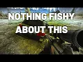 Nothing Fishy About This Quest Guide - Shoreline