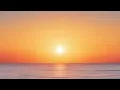 ASMR Bird singing with piano music Relaxing Meditation and Relieve Stress for study & sleeping