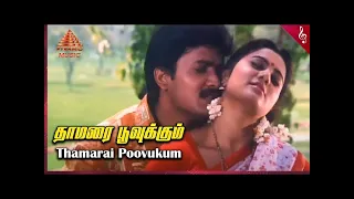 thamarai poovukkum pasumpon leo tamilhitsongs love pasumpon vidyasagar