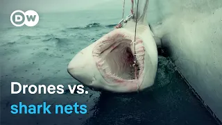 High-tech shark deterrence - Australia's new strategy for safe beaches | DW Documentary