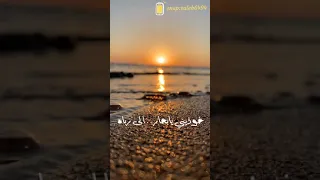 أريد الحب في قلب شريفا 