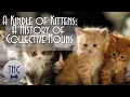 A Kindle of Kittens A History of Collective Nouns