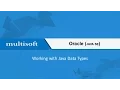 Working with Java Data Types in Oracle Java SE - Online Training Tutorial
