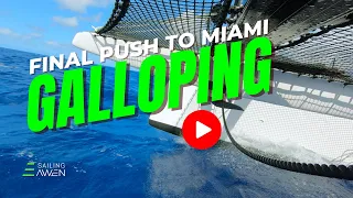 Galloping to the End (EP 62) Leg 3 Day 9 #sailing