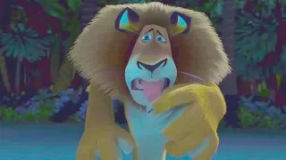 DreamWorks Madagascar Alex Arrives at Madagascar - Movie Clip Madagascar Kids Movies