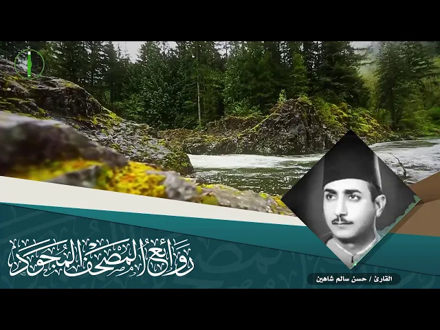 ⁣القارئ | حسن سالم شاهين