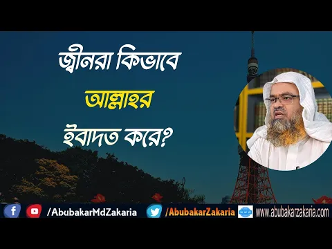 প্রশ্ন : জ্বীনরা কিভাবে আল্লাহর ইবাদত করে?