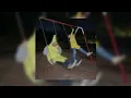 Download Lagu I love it - icona pop, charlie xcx (sped up)